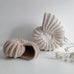 Coquillage rond moyen en Crochet écru