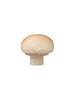Anneau de dentition Manolo Le Champignon